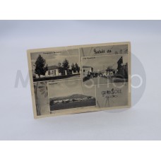 Girasole Nuoro Sardegna  saluti cartolina viaggiata con francobolli 