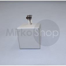 Pandora pendente chiave del mio cuore raro 